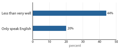 Figure 3: Ability to Speak English in the Foreign-Born Population