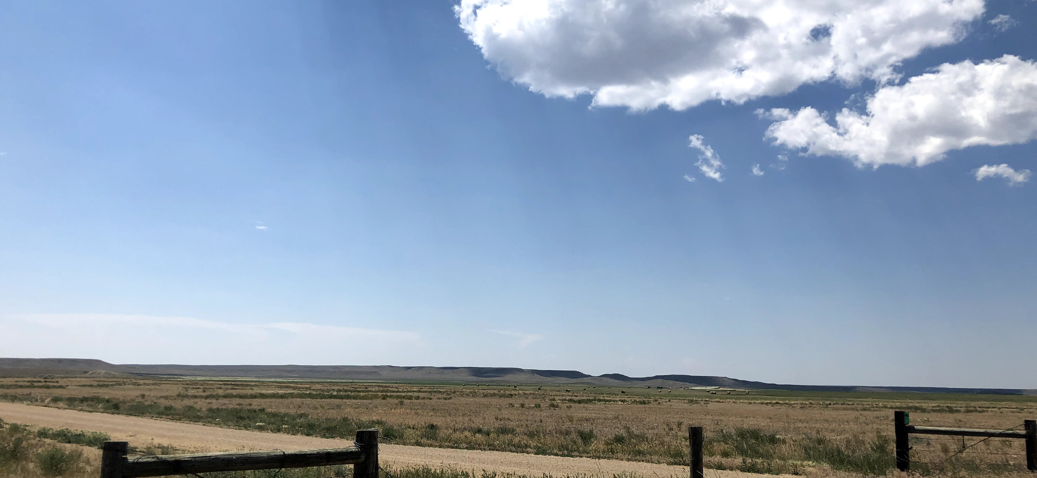 sky and field in rural Montana